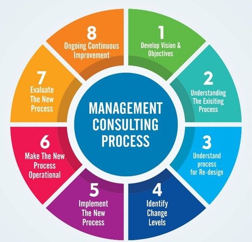 Business Management Consultant