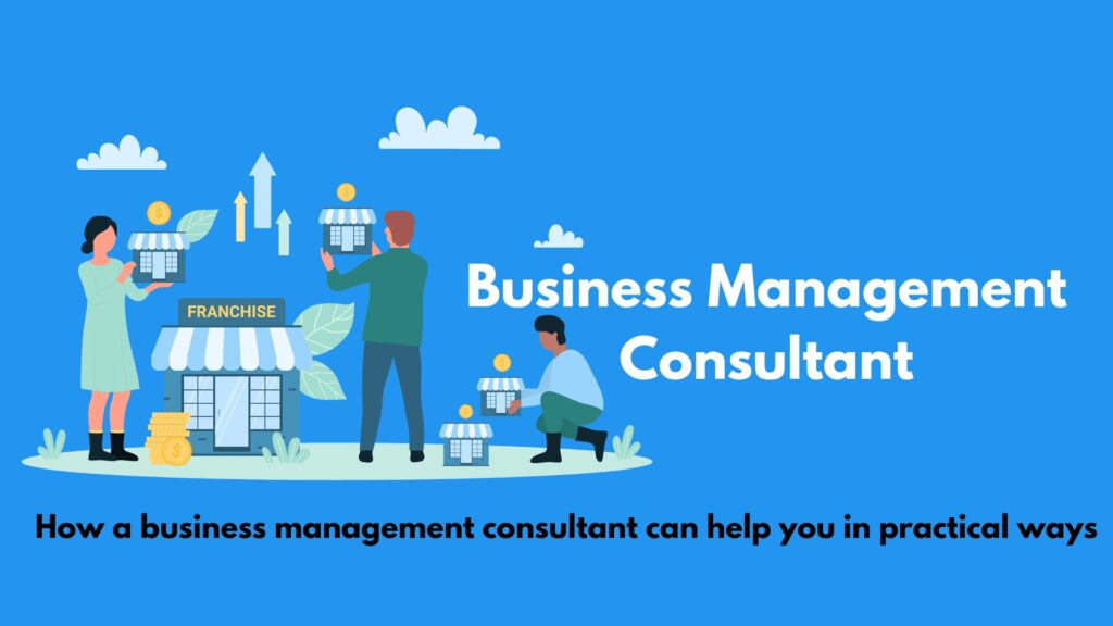 Business Management Consultant