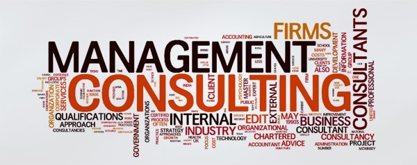 Business Management Consultant